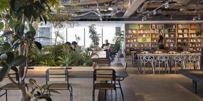 Plants through the floor
