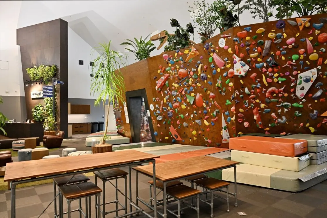 The bouldering wall