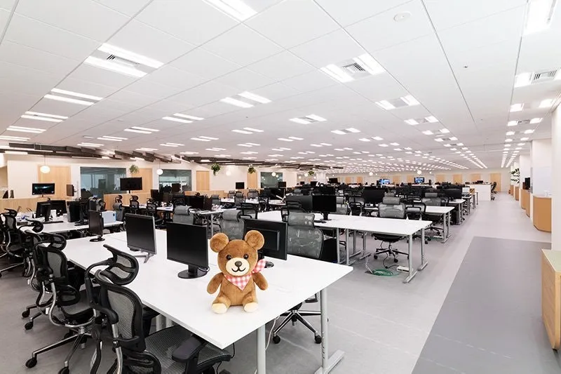 Desks and a bear