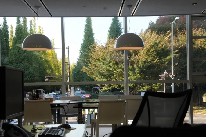 A view of green outside
