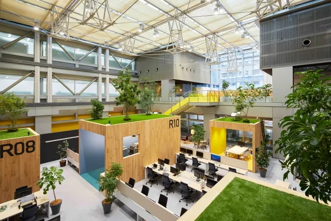 Rooms with gardens on top