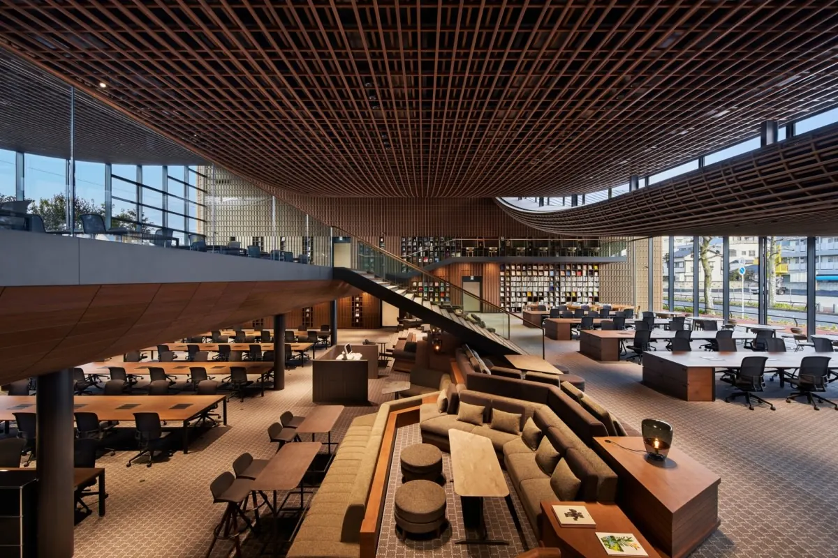 The timber roof, like cloth
